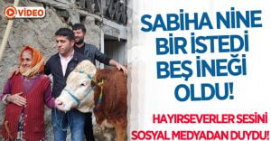 Sabiha Nine Bir İstedi, Beş İneği Oldu!