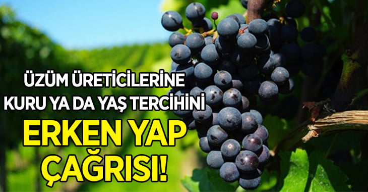 Üzüm Üreticisine Yaş ya da Kuru Tercihini Erken Yap Çağrısı!