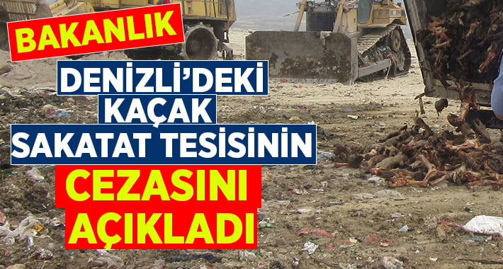 Denizli’deki Kaçak Sakatat Tesisinin Cezası Belli Oldu