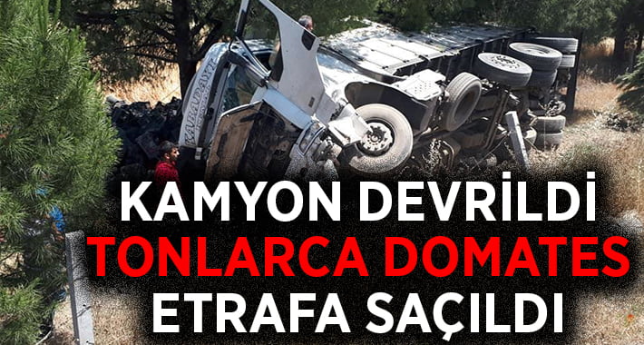 Devrilen kamyondaki tonlarca domates etrafa saçıldı