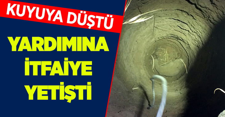 Kuyuya düşen keçiyi itfaiye kurtardı