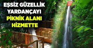 Eşsiz Güzellik Yardançayı Pinik Alanı Hizmette