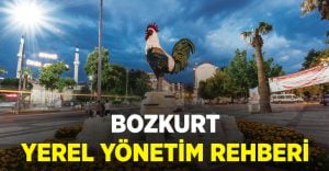 Bozkurt Kaymakamı, Belediye Başkanı ve Muhtarları