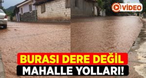 Burası Dere Değil Mahalle!