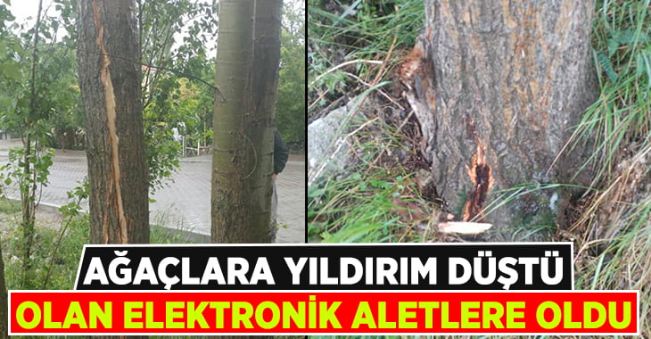 Çameli’de iki ağaca yıldırım düştü.. Zararı elektronik aletlere oldu