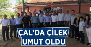 Çal ilçesinde çilek üretimi seferberliği başlıyor