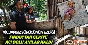 Otomobilin altında feci şekilde can veren Fındık’tan geriye bu görüntüler kaldı