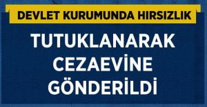 Devlet kurumunda hırsızlık!