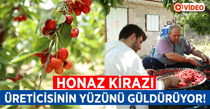 Honaz Kirazı Üreticisinin Yüzünü Güldürüyor!