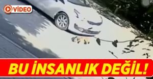 Tonlarca ağırlığında otomobil köpeğin üstünden böyle geçti