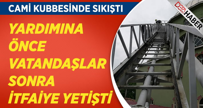 Cami kubbesinde bacağından sıkışan leyleği itfaiye kurtardı