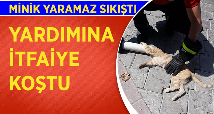 Kafası boruya sıkışan kediyi itfaiye kurtardı