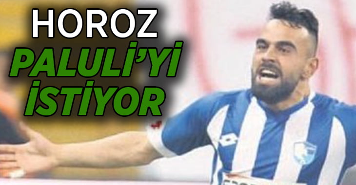 Denizlispor Paluli’yi İstiyor