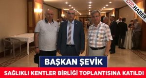 Şevik, Sağlıklı Kentler Birliği toplantısına katıldı