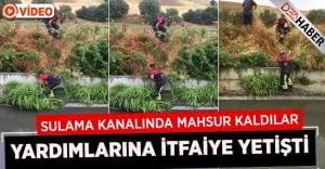 Sulama kanalında mahsur kaldılar.. Yardımlarına İtfaiye Yetişti