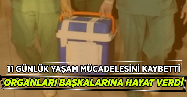 11 günlük yaşam mücadelesini kaybetti, organları hayat oldu