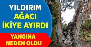 Yıldırım Düşmesi Yangına Neden Oldu