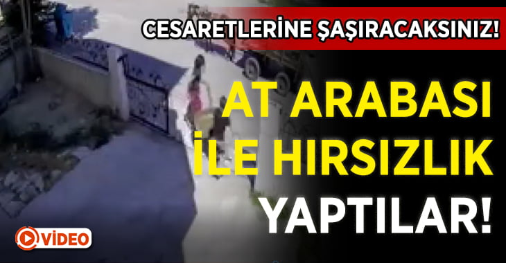 At arabası ile hırsızlık yaptılar!