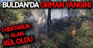 Buldan’da 1 hektar alan kül oldu