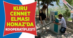 Kuru cennet elması Honaz’da kooperatifleşti