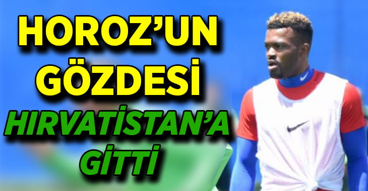 Horoz’un gözdesi Split’e imza attı