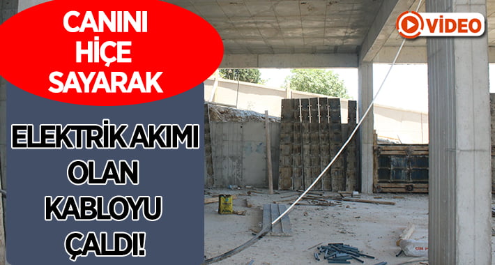 Canını hiçe sayıp elektrik akımı olan kabloyu çaldı!