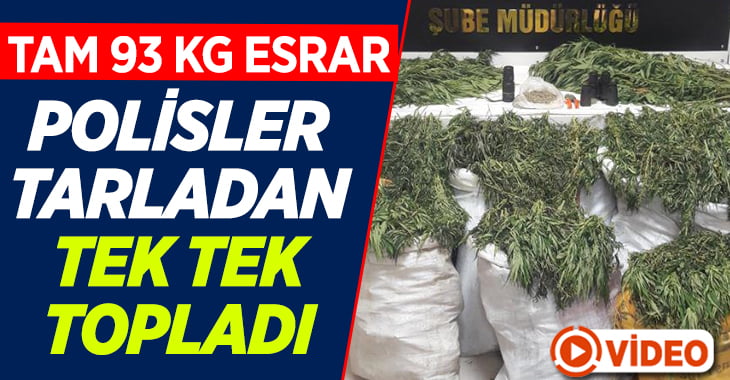 Denizli’de 93 kilogram esrar yakalandı