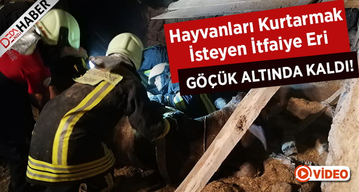 Hayvanları kurtarmak isteyen itfaiye eri göçük altında kaldı!