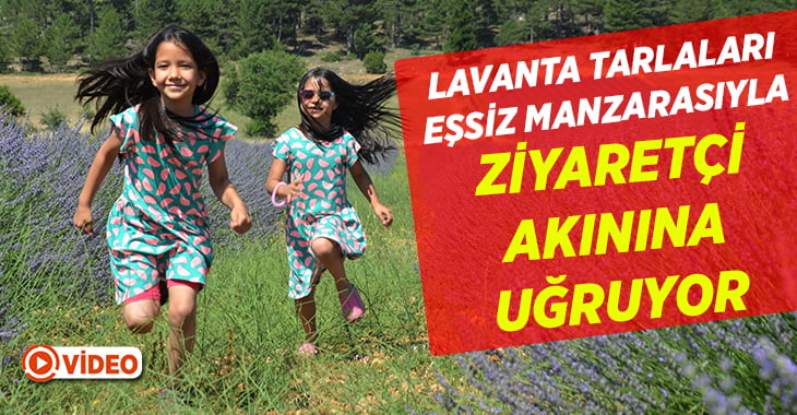 Lavanta tarlaları turistlerin yeni mekanı oldu