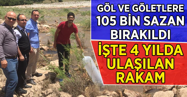 Denizli’de göl ve göletlere 105 bin sazan bırakıldı