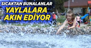 Sıcaktan bunalanlar yaylaya akın ediyor