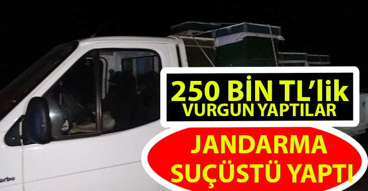 Kovan hırsızları jandarma tarafından suçüstü yakalandı