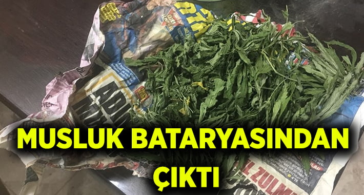 Musluk bataryasından uyuşturucu çıktı