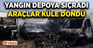 Anız yangını yediemin deposuna sıçradı, hurda araçlar yandı