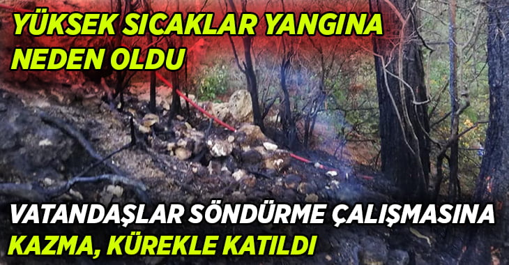 Yüksek gerilim hattından çıkan yangın ormanı sardı