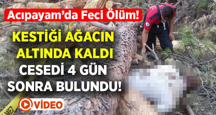 4 gündür aranıyordu cesedi kestiği ağacın altında bulundu!