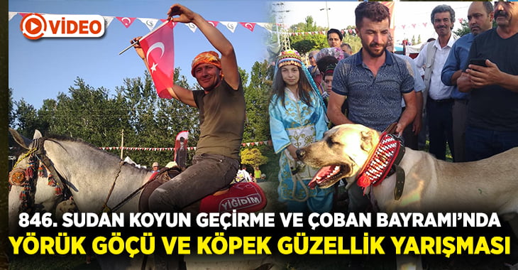 8 Asırlık Gelenek Köpek Güzellik Yarışmasıyla başladı