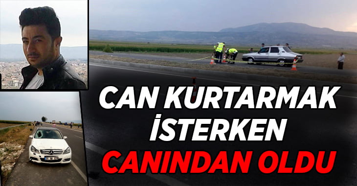 Kaplumbağayı kurtarmak isterken canından oldu