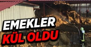 Denizli’de 3 bin saman balyası yangında kül oldu