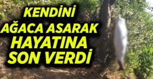 Kendini ağaca asarak hayatına son verdi