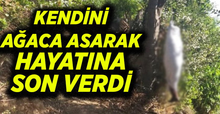 Kendini ağaca asarak hayatına son verdi