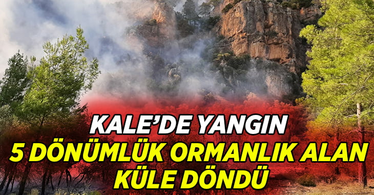 Kale’de 5 dönümlük ormanlık alan küle döndü