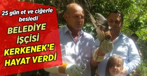 Belediye işçisi Kerkenek’e hayat verdi