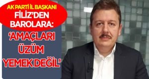 İl Başkanı Filiz’den Barolara: Amaçları üzüm yemek değil!