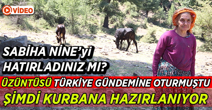 Telef olan ineğine üzüntüsüyle Türkiye gündemine oturmuştu, şimdi kurbana hazırlanıyor