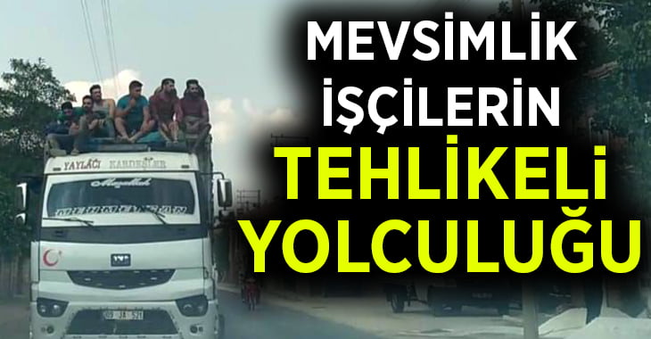 Kamyonun sürücü kabininin üstünde tehlikeli yolculuk