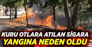 Kuru otlara atılan sigara yangına neden oldu