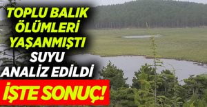 Balık ölümlerinin yaşandığı Süleymanlı Yayla Gölü’nün suyu analiz edildi