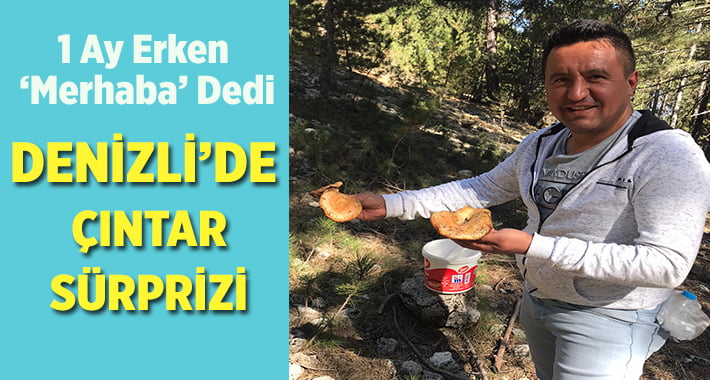 Denizli’de Çıntar Sürprizi