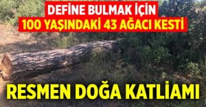 Define bulmak için adeta doğa katliamı yaptı